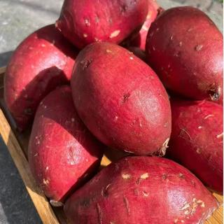 京鲜生 海南榴莲蜜薯 星球果 4.5斤 单果50g+ 地瓜