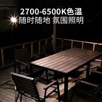 SUNREE C600 强磁吸附充电 黑色 便携式工作灯