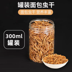 冠之亚 乌龟零食面包虫干黄粉虫巴西龟龟粮鹦鹉仓鼠鱼饲料高营养用品零食