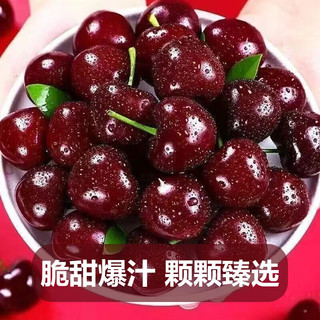 鲁道鲜 山东大樱桃 XL级 20-26mm 净重4斤
