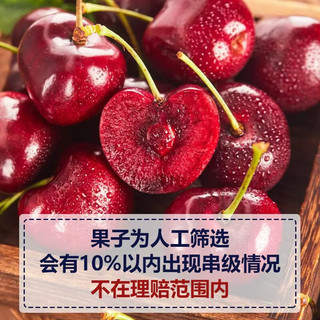 鲁道鲜 山东大樱桃 XL级 20-26mm 净重4斤