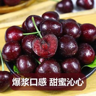 鲁道鲜 山东大樱桃 XL级 20-26mm 净重4斤