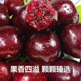 鲁道鲜 山东大樱桃 XL级 20-26mm 净重4斤
