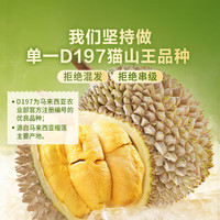 东方甄选 猫山王D197液氮冷冻榴莲 1.6kg