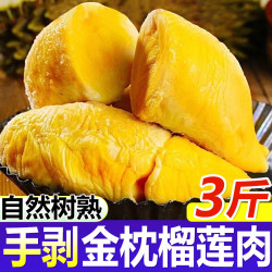 璐亦 榴莲肉金枕新鲜冷冻枕头果肉树熟泰国果肉水果  泰国金枕榴莲果肉