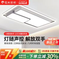 阳光 照明意式轻奢创意吸顶灯【72W 柔和款】离线语音控制