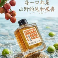 夏酿春光 天然纯酿 果酒