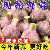 薏品甄鲜 农家紫皮大蒜 5斤 45mm+