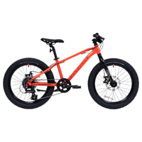 DECATHLON/迪卡侬 变速 儿童山地自行车 红色900系高阶版