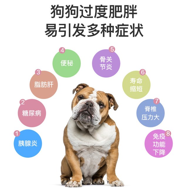 DIAMOND CARE DiamondCare钻石护理低脂低卡成犬粮控制体重50g*2袋试吃