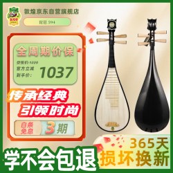敦煌牌 琵琶594 儿童款 初级入门考级演出（琵琶*1）