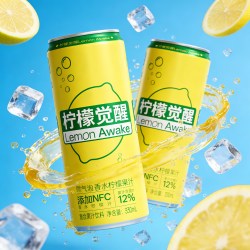 名仁 柠檬果汁饮料香水柠檬汁微气泡柠檬水330ml*15罐整箱批发