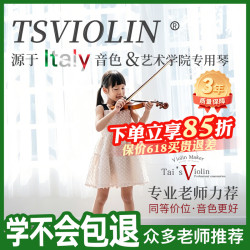 台氏 S368 专业演奏级小提琴 成人手工制作儿童初学者高档小提琴考级 4/4（小提琴一支、松香一个、电子调音器一个、琴盒一个、肩托一个、音阶贴一个、琴弓一个、擦琴布一个、琴弦一个）