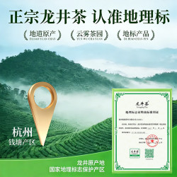 浙西湖 明前特级豆香龙井茶 250g