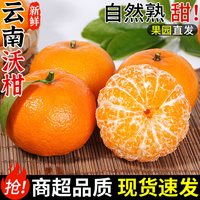 云南高山沃柑新鲜橘子水果当季整箱沙糖蜜橘砂糖柑橘现摘包邮 2斤