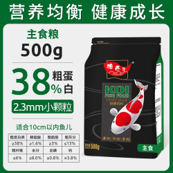 渔西子 锦鲤鱼饲料高蛋白育成色扬鱼粮