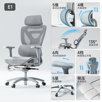 护童 E1Pro 人体工学电脑椅 龙纹特网坐垫 暮色灰