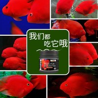 百因美 血鹦鹉鱼食颗粒饲料 增艳增色 500g 鱼粮