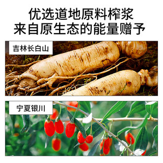 纯耕 人参枸杞原浆 300ml*1盒