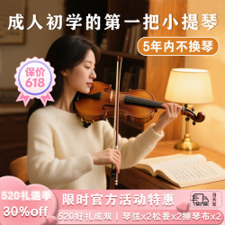 圣维斯 sw225 纯手工成人初学欧料小提琴 (1/2尺寸 身高130-140)