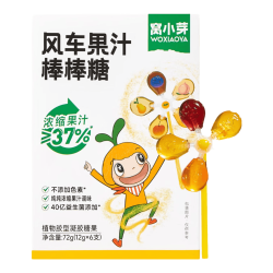 窝小芽 山楂鸡内金糖葫芦益生元山楂棒棒糖0添加白砂糖儿童宝宝零食一岁 风车果汁棒棒糖72g