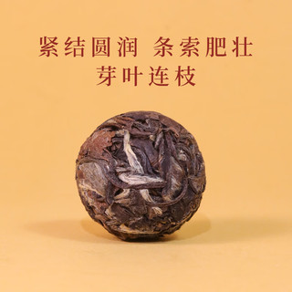 绿尘 福鼎白茶寿眉龙珠 6g袋装 试饮装