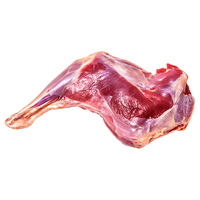 鑫山福吉 内蒙古滩羊前腿 净重3斤 羊肉