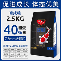 渔西子 锦鲤鱼饲料 高蛋白色扬不浑水 500g 鱼粮