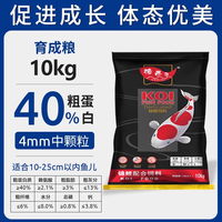渔西子 锦鲤鱼饲料 高蛋白育成色扬 鱼粮