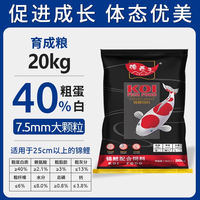 渔西子 锦鲤鱼饲料 高蛋白不浑水 500g 鱼粮