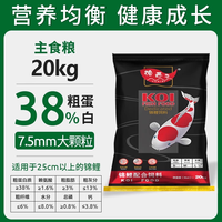 渔西子锦鲤鱼饲料高蛋白不浑水 500g 鱼粮