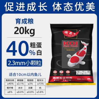 渔西子锦鲤鱼饲料高蛋白色扬 500g 鱼粮