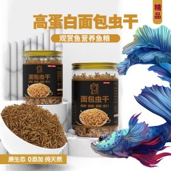 鱼粮观赏鱼高蛋白面包虫干鱼饲料原生态零添加天然鱼粮增色增艳