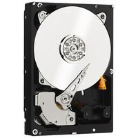 Western Digital 西部数据 Gold系列 3.5英寸企业级硬盘 6TB 128MB(7200rpm、PMR)WD6002FRYZ