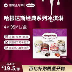哈根达斯 荷兰版经典系列冰淇淋 4×95ml/盒