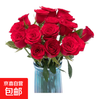 国家补贴：玫瑰10枝