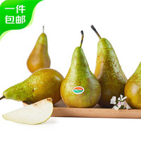 移动端、京东百亿补贴：都乐 比利时进口啤梨2.5kg 单果130g+