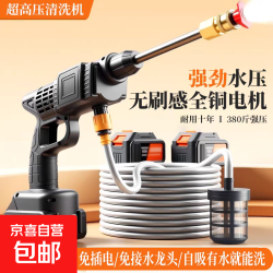 德国 无线洗车机300W 豪华版套装：二电一充+毛巾+洗车液+塑盒