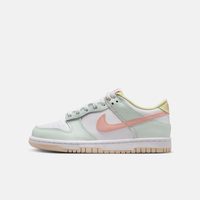NIKE 大童DUNK  BG运动休闲鞋IV2861-181