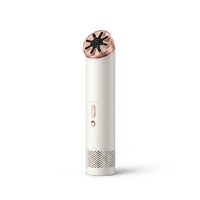 淘金币可用、新品发售：dyson mini cool 便携风扇