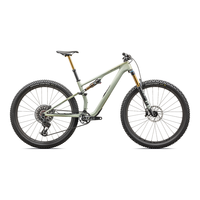 SPECIALIZED闪电 EPIC 8 EVO PRO碳纤维避震XC林道软尾山地自行车