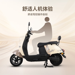 台铃 60公里长续航 电动摩托车 铅酸电池 丛林棕