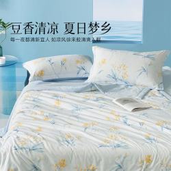 水星家纺 出品 百丽丝A类抗菌大豆柔丝夏被夏凉被  春山 150*200cm
