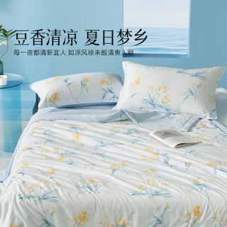 水星家纺 出品 百丽丝A类抗菌大豆柔丝夏被夏凉被  春山 150*200cm