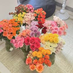与花同行 玫瑰盲盒鲜花随机玫瑰洛神艾莎弗洛伊德斗南基地直发送礼花束
