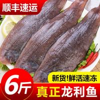 嵩海生鲜 龙利鱼 冷冻去刺深海鱼 500g*2袋