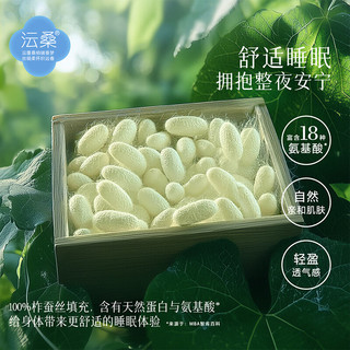 百丽丝 100%蚕丝夏被 可水洗 200cm×230cm
