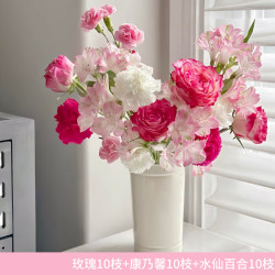 京东鲜花 玫瑰康乃馨六初花混合花束 10枝+10枝+10枝 鲜切花
