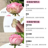 京东鲜花 玫瑰康乃馨水仙百合混搭 10枝+10枝+10枝 鲜切花