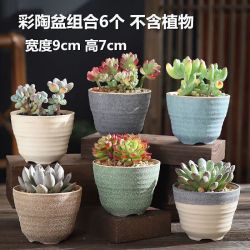 OLOEY 多肉花盆陶瓷植物花盆套装组合 6个装